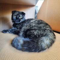 Photo of 🍹Paloma🍹