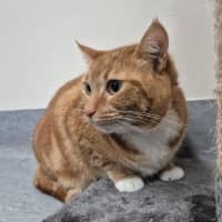 Photo of Lulu