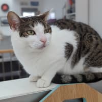 Photo of Tabitha