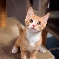 Photo of Daisy May ( Was Freya)