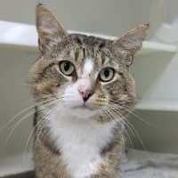 Photo of 😽 Jerome 6752 😽