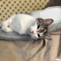 Photo of Sabrina