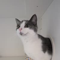 Photo of Kiya