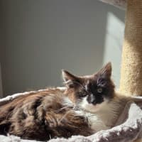 Photo of Ace