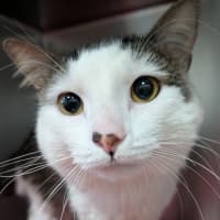 Photo of Shujiro