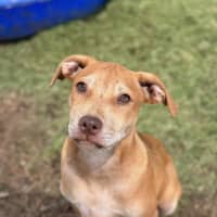 Photo of Tip (Tippy)