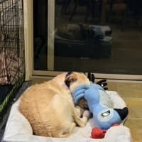 Photo of Dolly Pawton