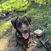 Photo of Franny