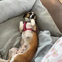 Photo of Lillie Uffelman