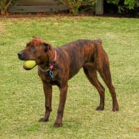Photo of Coco Chanel