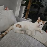Photo of Oswald 