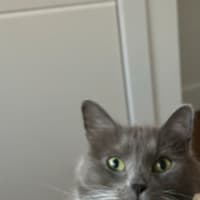Photo of Luna