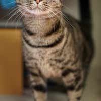 Photo of Duke
