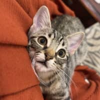 Photo of Bon Bon