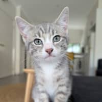 Photo of Isabella Scotty