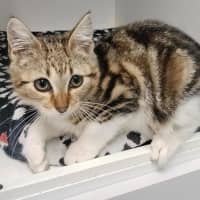 Photo of Evie