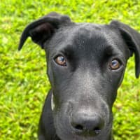 Photo of Parker 
