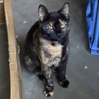 Photo of Kallie 🍃💕