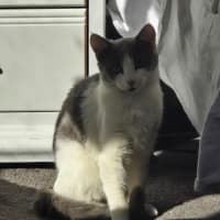 Photo of Abby