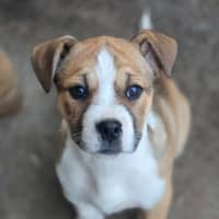 Photo of Babs Seed