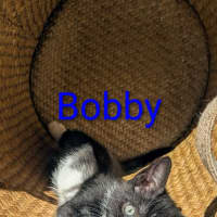 Photo of Bobby