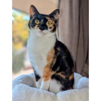 Photo of 12475   Theia