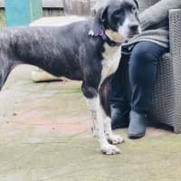 Photo of Maggie
