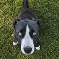 Photo of Lolly