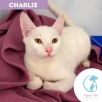 Photo of Charlie