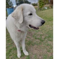 Photo of Bonnie