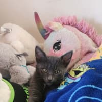 Photo of Tiny