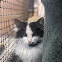 Photo of 🌾 Weetbix 5823 🌾