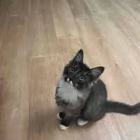 Photo of Zeek 