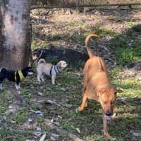 Photo of Coco And Cherry 