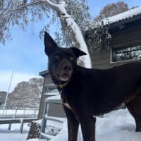 Photo of Milo Haliwell