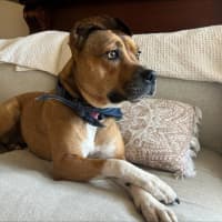 Photo of Chloe Haliwell