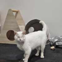 Photo of Tilly