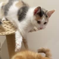 Photo of Margie 🌸🌸🌸