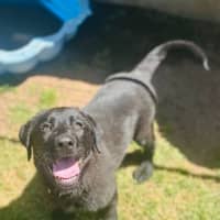 Photo of Fred