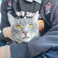 Photo of Muichiro