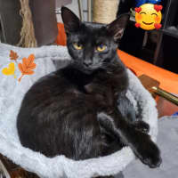 Photo of Charlie 