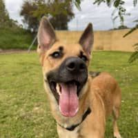 Photo of Macey