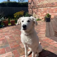 Photo of Mabel