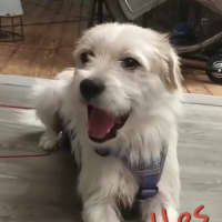 Photo of Murphy Muddle