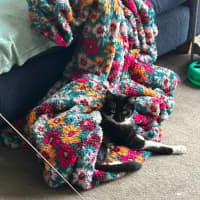 Photo of Pepper