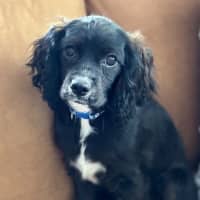 Photo of Marty