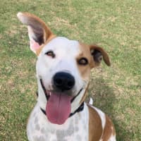 Photo of Doug (65435)