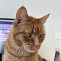 Photo of Artie