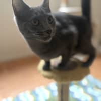 Photo of Rocket