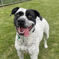 Photo of Jackie Chan